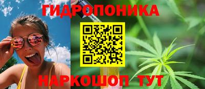 каннабис Кингисепп