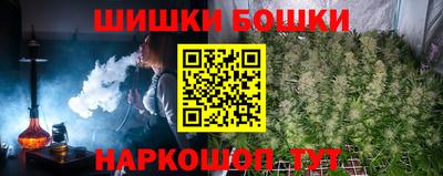 МДПВ Канаш