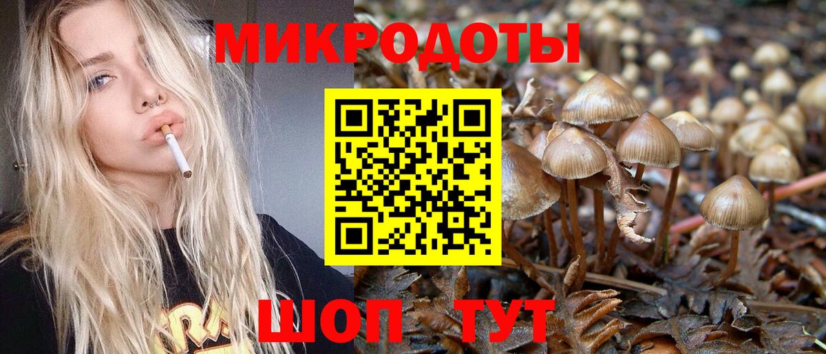 Псилоцибиновые грибы MAGIC MUSHROOMS  Вход с VPN  Коркино  Галлюциногенные грибы мицелий 